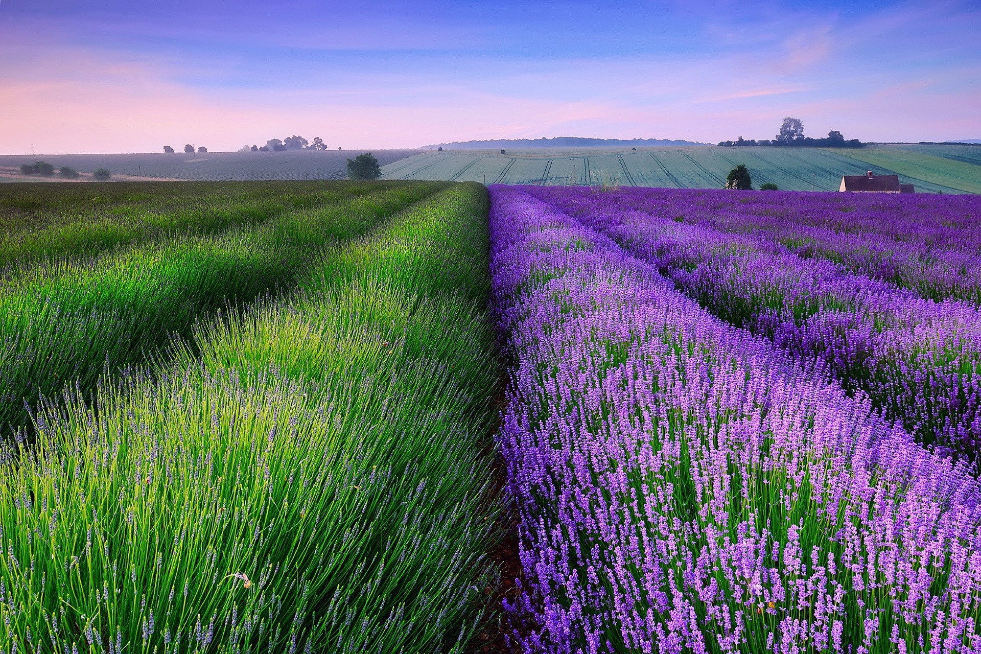 campo noche verano inglaterra puesta del sol