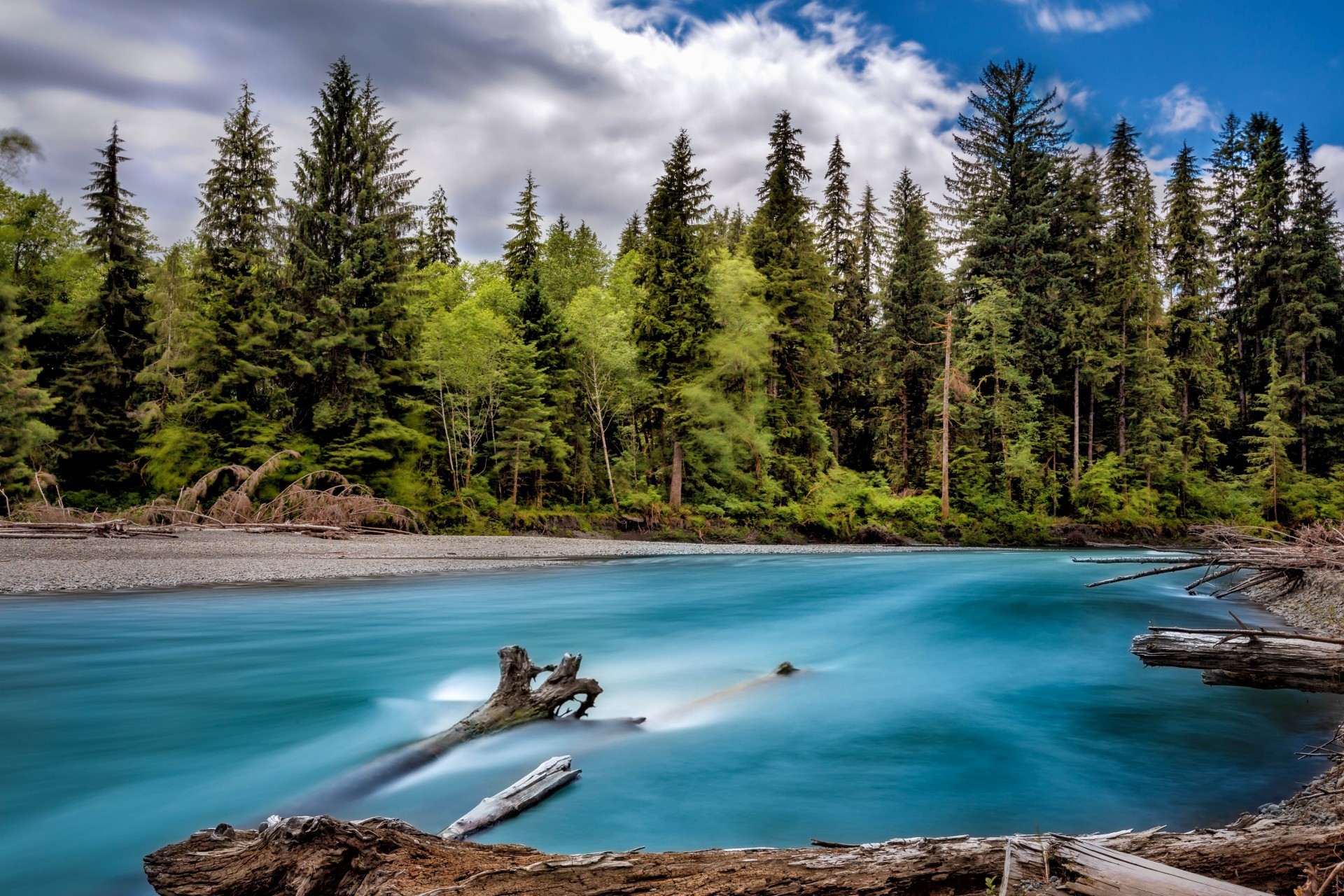 états-unis forêt état de washington rivière