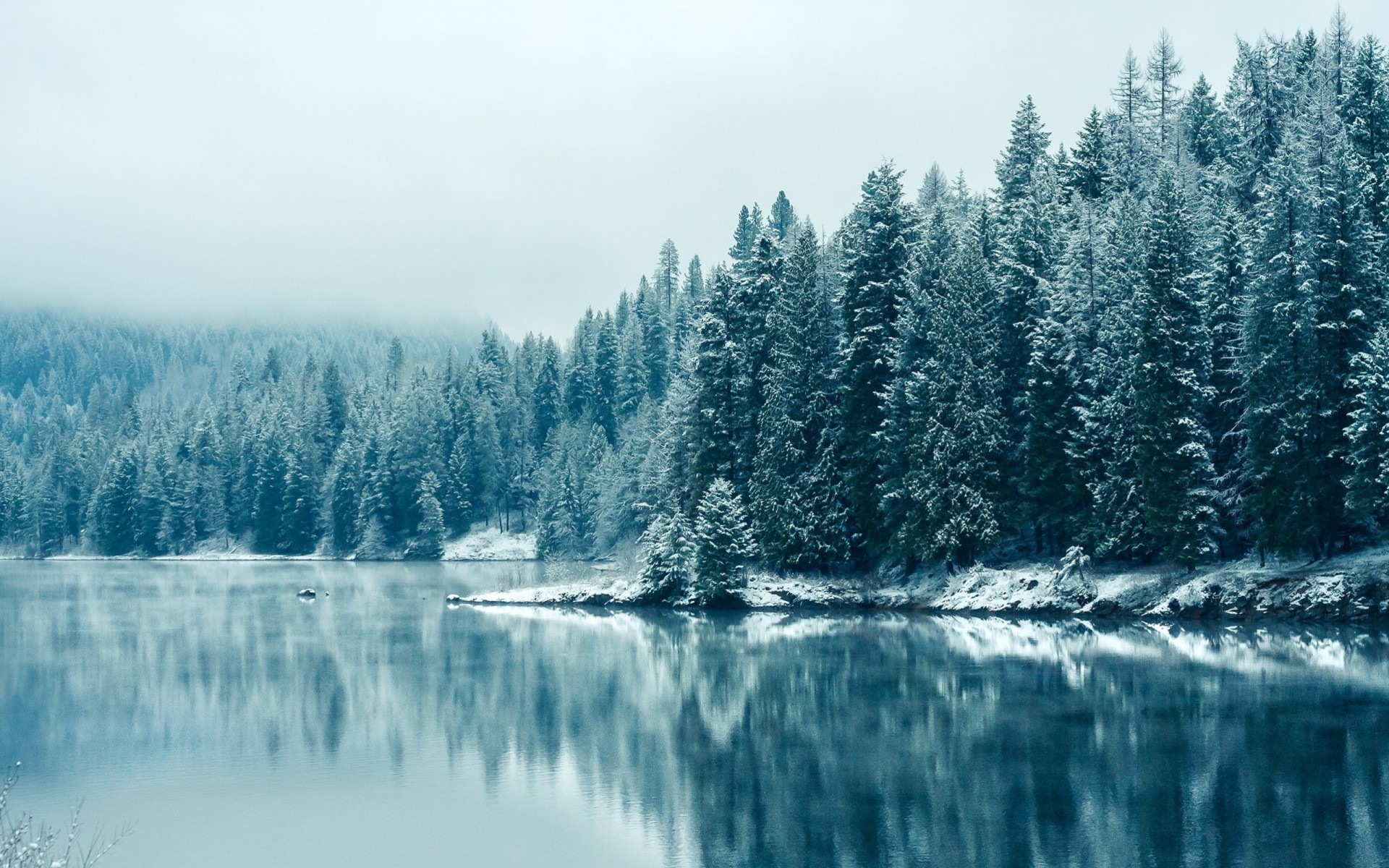 río bosque canadá nieve invierno