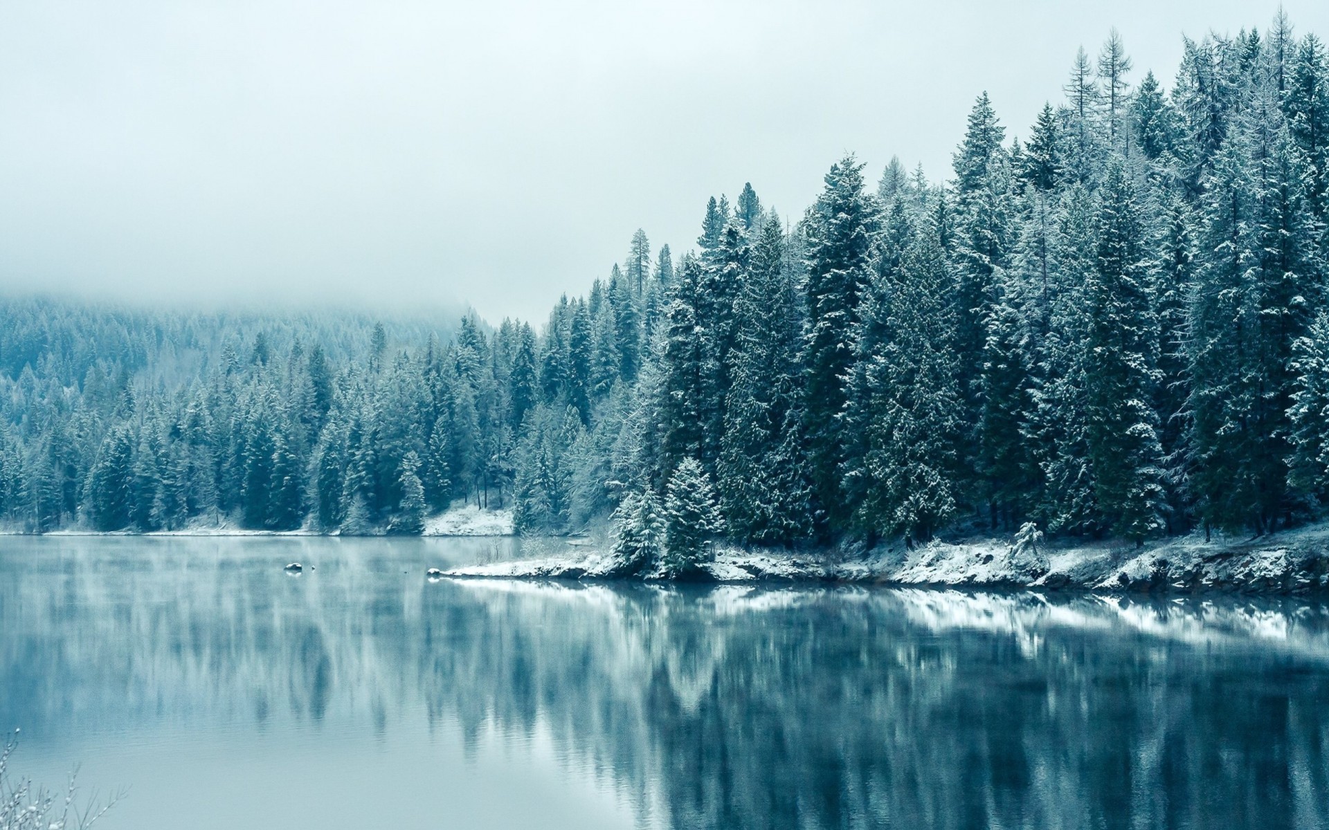 rivière forêt canada neige hiver