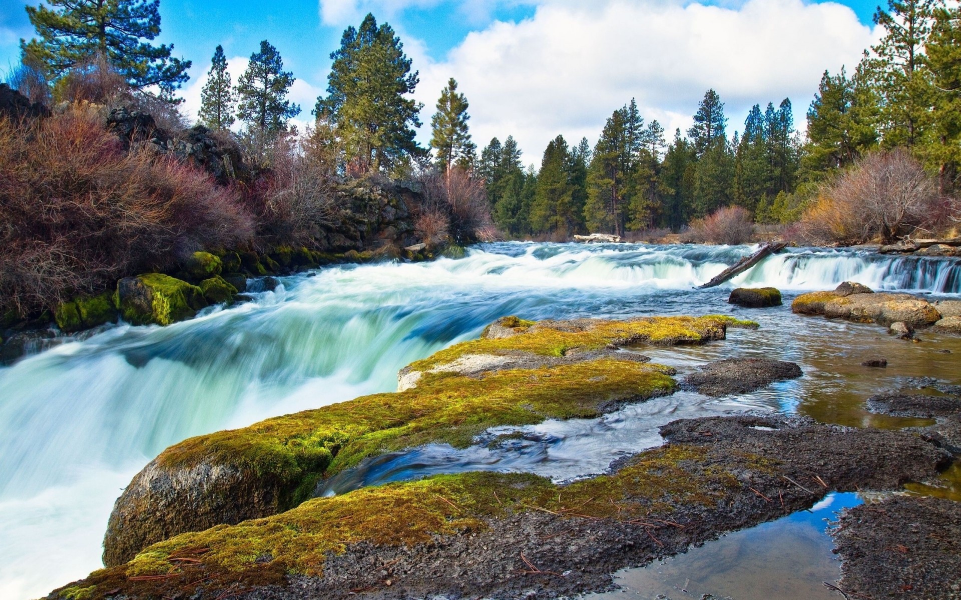 rocas musgo corriente poder arbustos bosque agua otoño rocas cascada