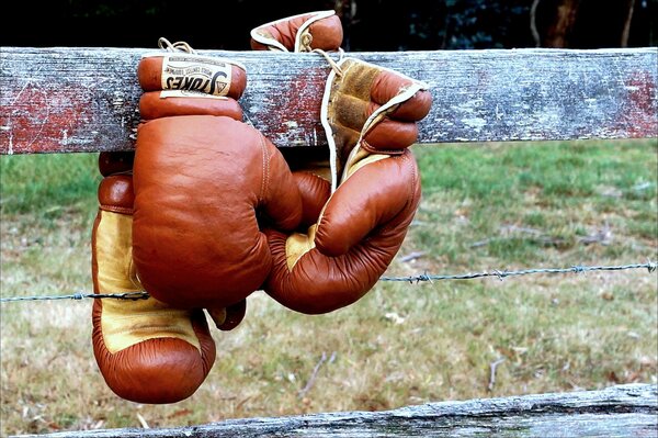 Gants de boxe sur une clôture en bois