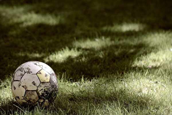 Piłka i trawa sport na trawie