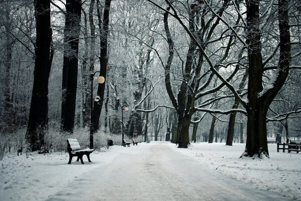 Parc urbain par une journée d hiver