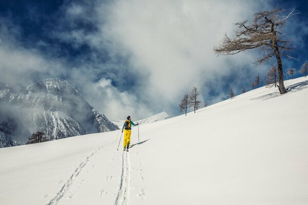 Skieur au sommet de la montagne