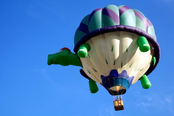 Vuelo de una tortuga de aire en un cielo despejado