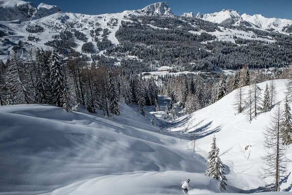 Giornata di sole in montagna, equitazione sportiva-sci