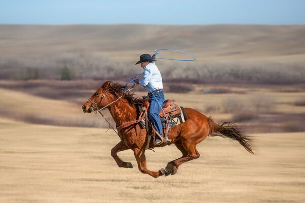 Selvaggio West e cowboy con cavallo