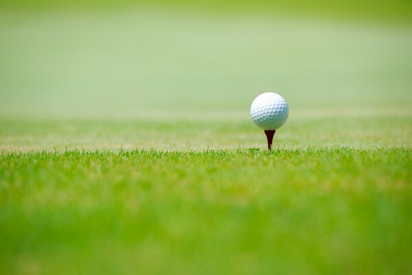 Мяч для гольфа на зелёной лужайке