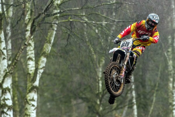 Motocycliste en sautant sur fond de bouleaux