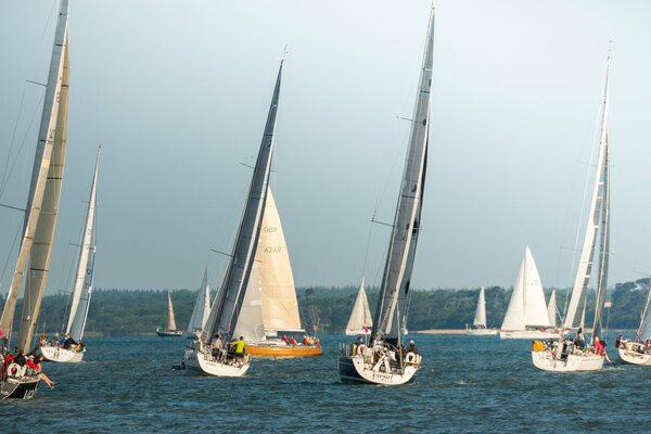 Carrera de yates de vela en el mar