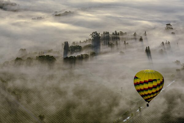 Le ballon s est levé dans le ciel au-dessus de la forêt