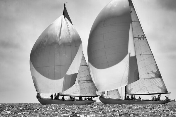Yachts with open sails at sea