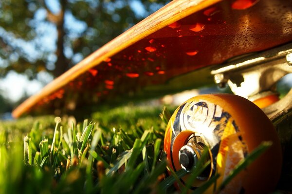 Foto macro di skateboard sull erba bagnata