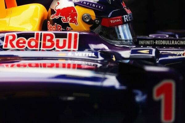 El campeón de fórmula 1 Sebastian Vettel