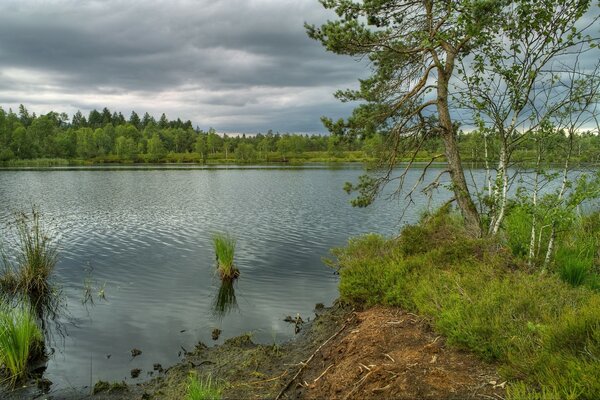 Landschaft mit Fluss und Bäumen