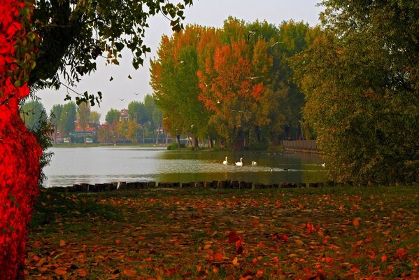 Lago en Italia en silencio de otoño