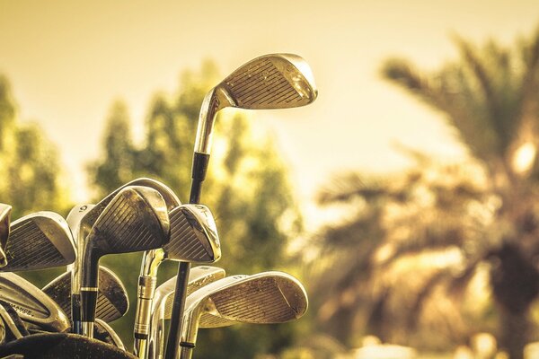 Golf sticks on a beautiful background