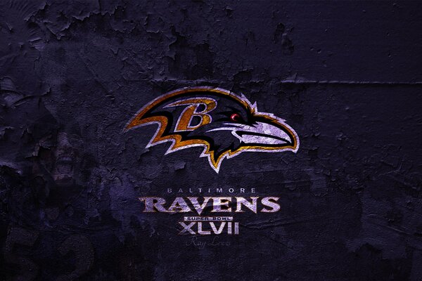 Image of the raven super Bowl in Baltimore