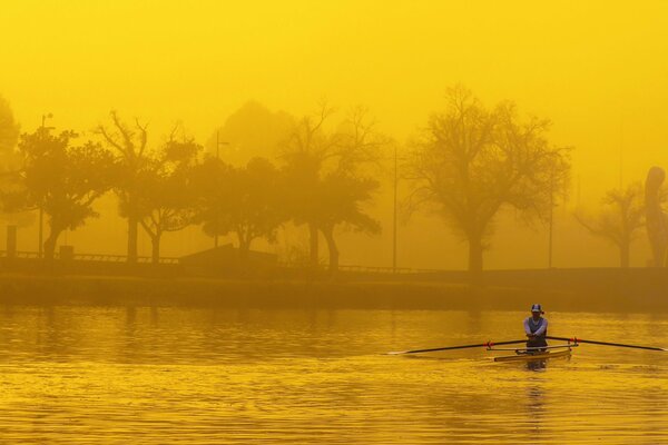 En la mañana de otoño, remo deportivo en el río