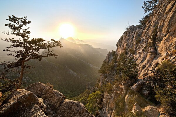 The sun sets behind the mountains and illuminates the trees