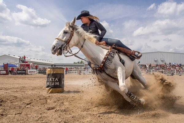 Ippica. Ragazza Cowgirl