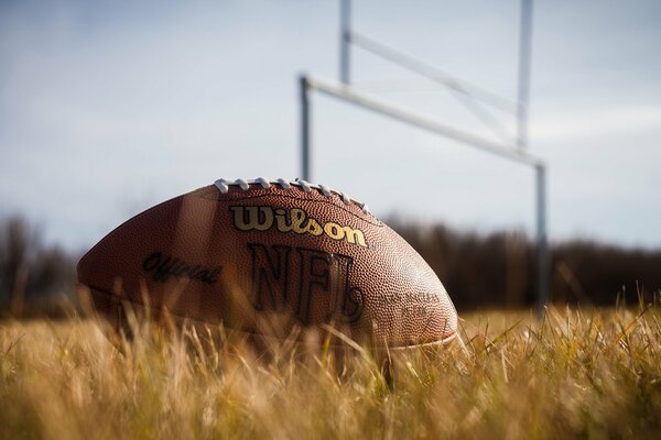 Una palla da Rugby giace sull erba