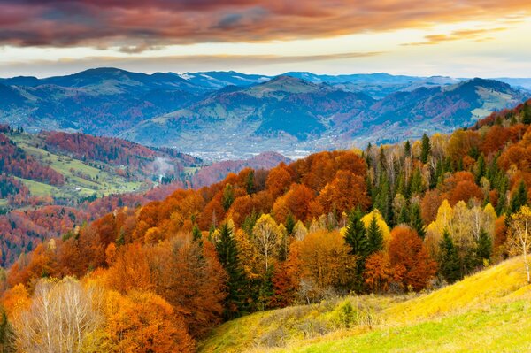 Paisaje de otoño con árboles amarillos y montañas