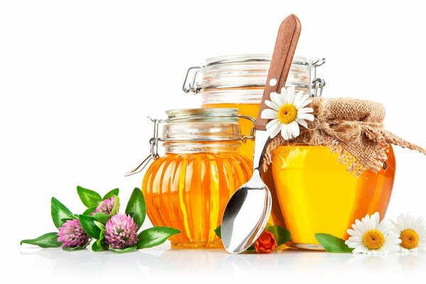 Honey jars on a white background with chamomile flowers