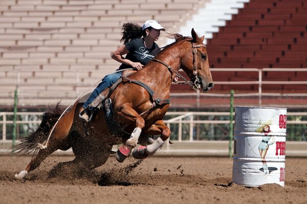 Девушка занимается конным спортом