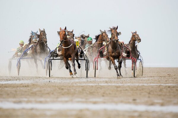 Carreras de caballos deportivos brillantes, el polvo es un pilar