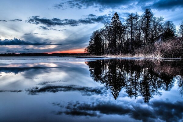 Reflexion der Natur im Wasser des Sees