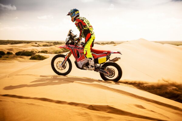 Cyclist in the Dakar desert