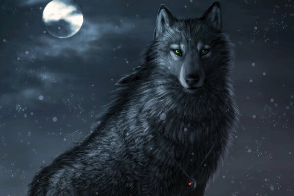 Ночной волк под снегом