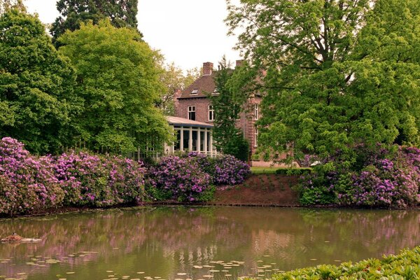 Maison dans le parc, près de l étang 