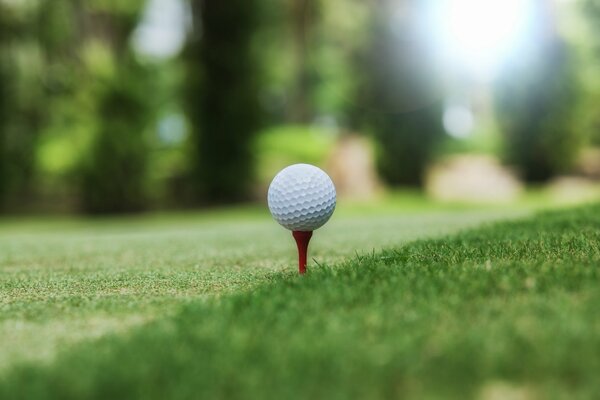 Pelota de golf lista para golpear