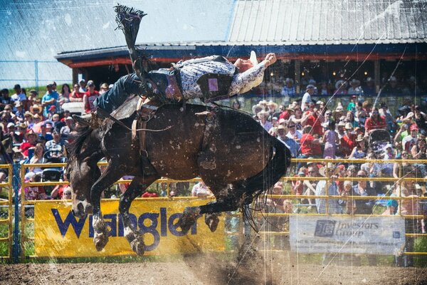 A crowd of spectators looks at the breathtaking rodeo