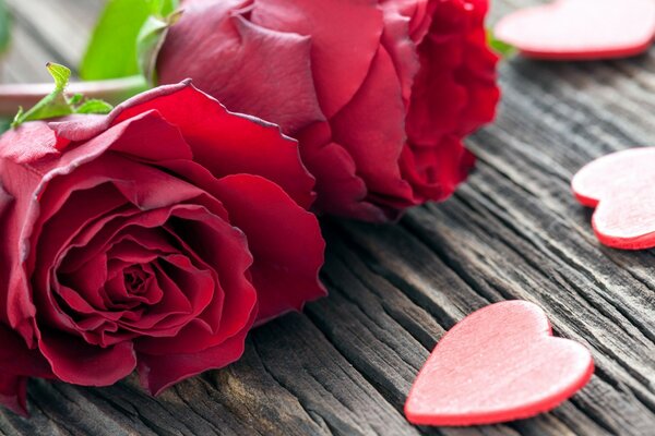 Rote Rosen liegen und Herzen Nahaufnahme