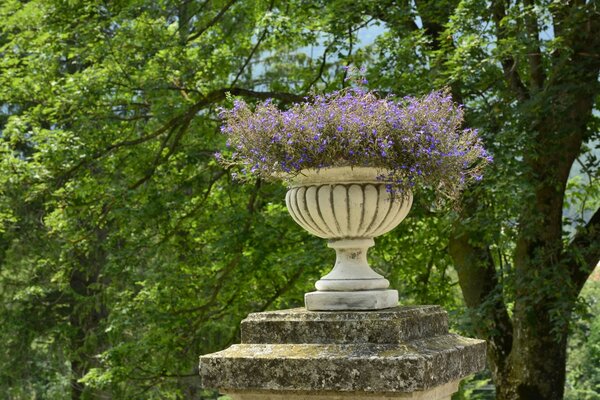 Eine große Vase im Park neben einem Baum
