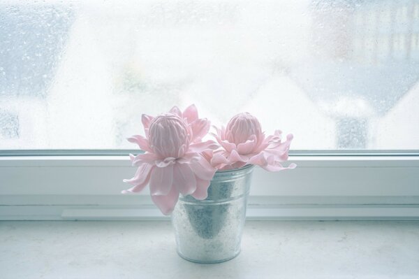 Flores Rosadas suaves en un frasco junto a la ventana