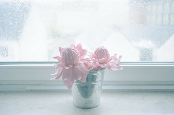 Fleurs roses douces dans un pot près de la fenêtre
