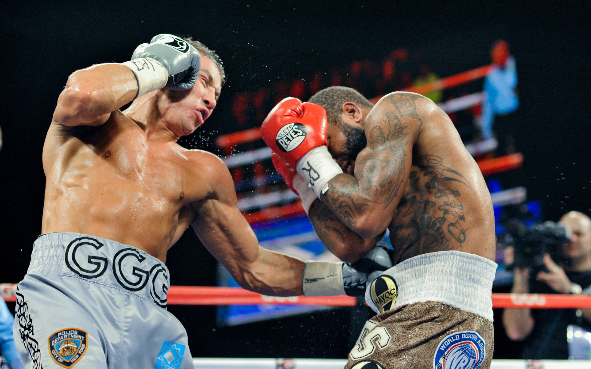 curtis stevens gennady golovkin boxing