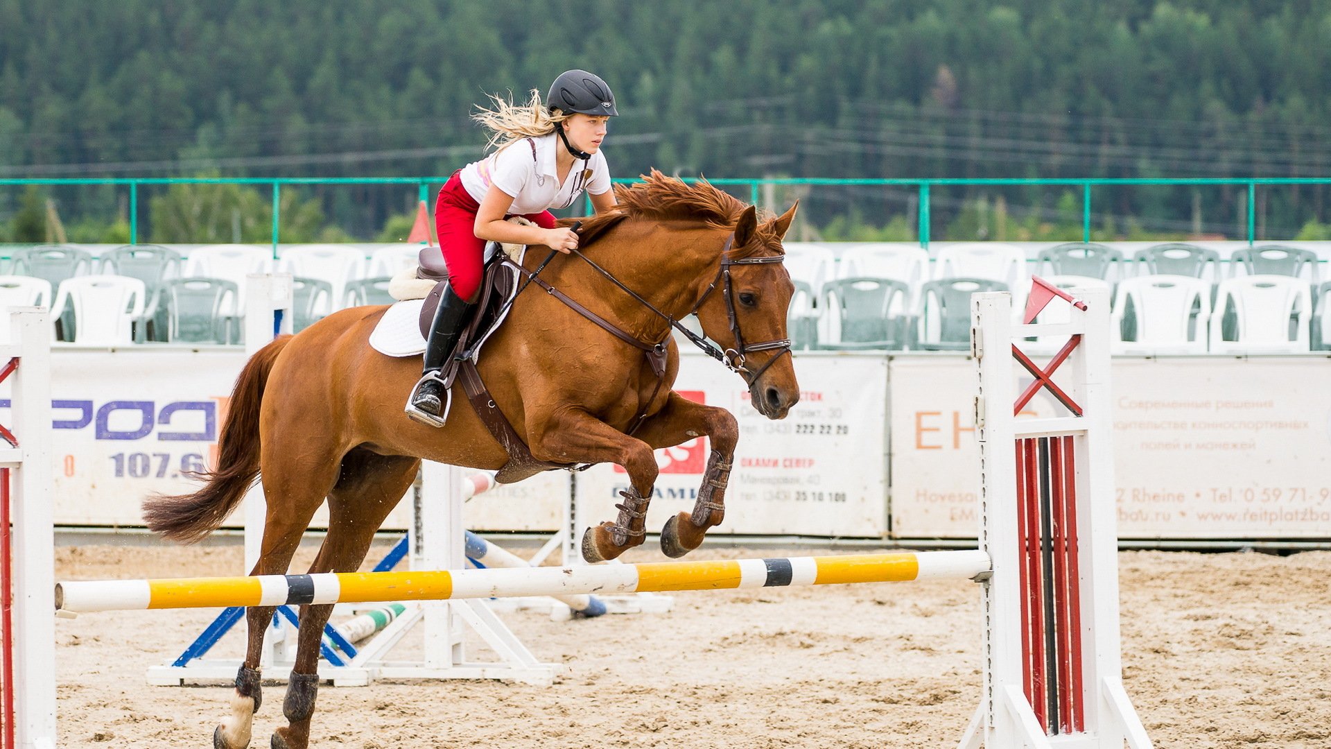 ragazza cavallo sport