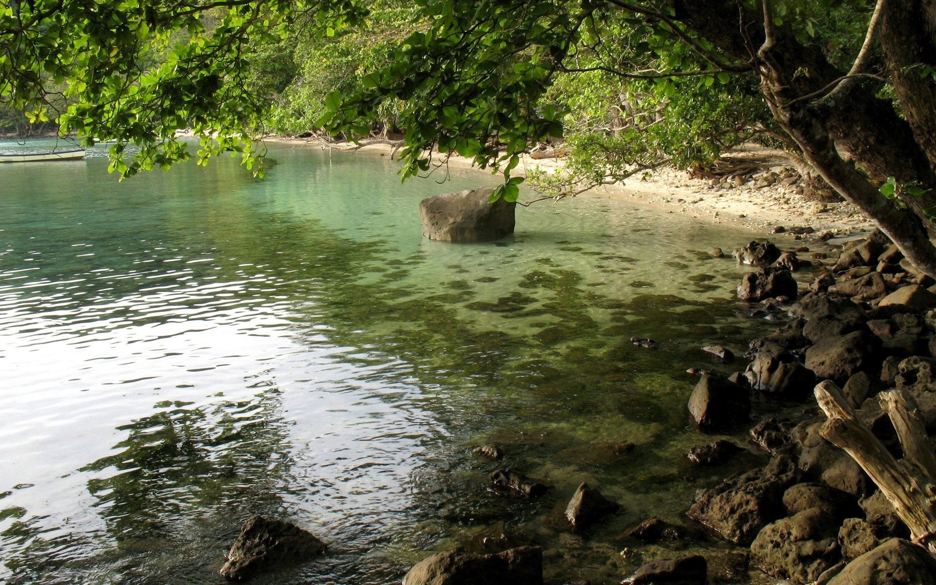 steine laub baum schatten wasser