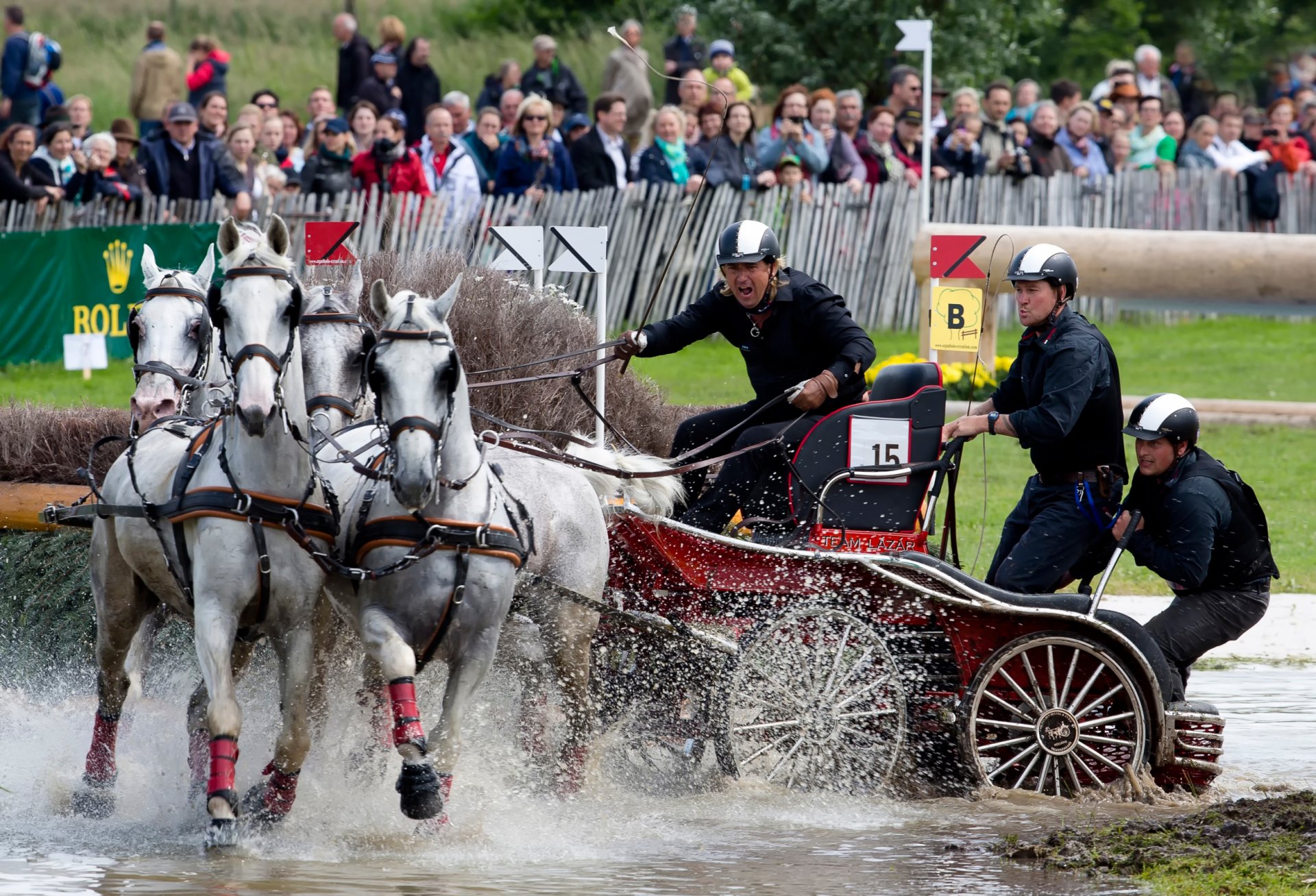 fahren pferdeschlittenwettbewerbe fahrtransport reitsport vierer