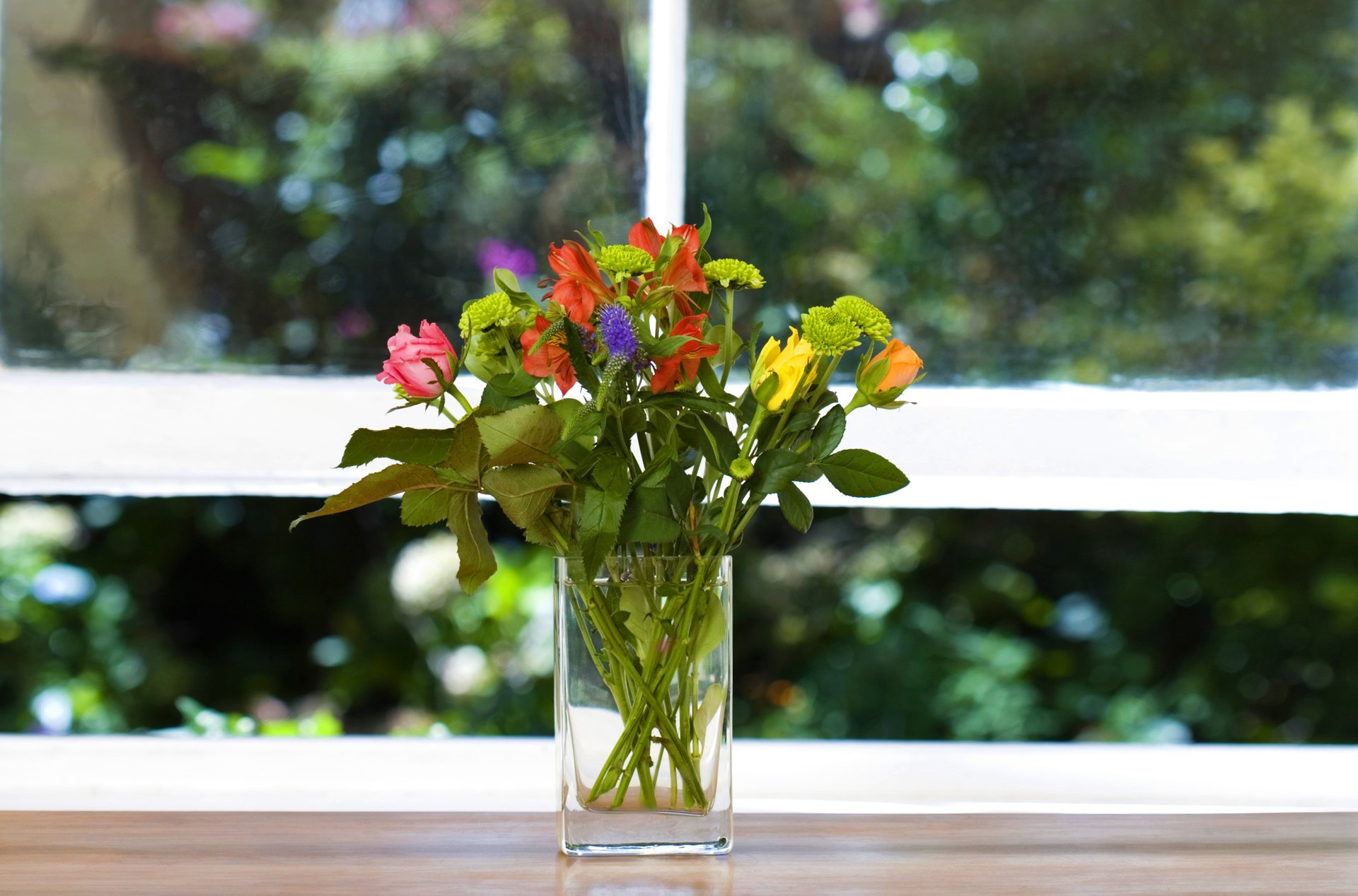 blumen vase blumenstrauß fenster grüns fensterbank