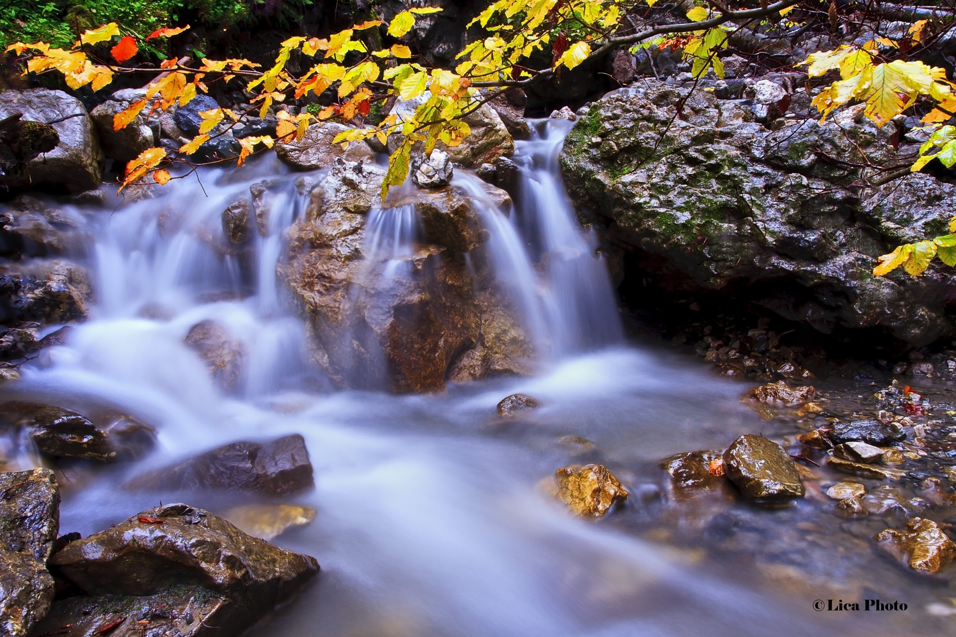 pierres cascade nature rivière automne rochers