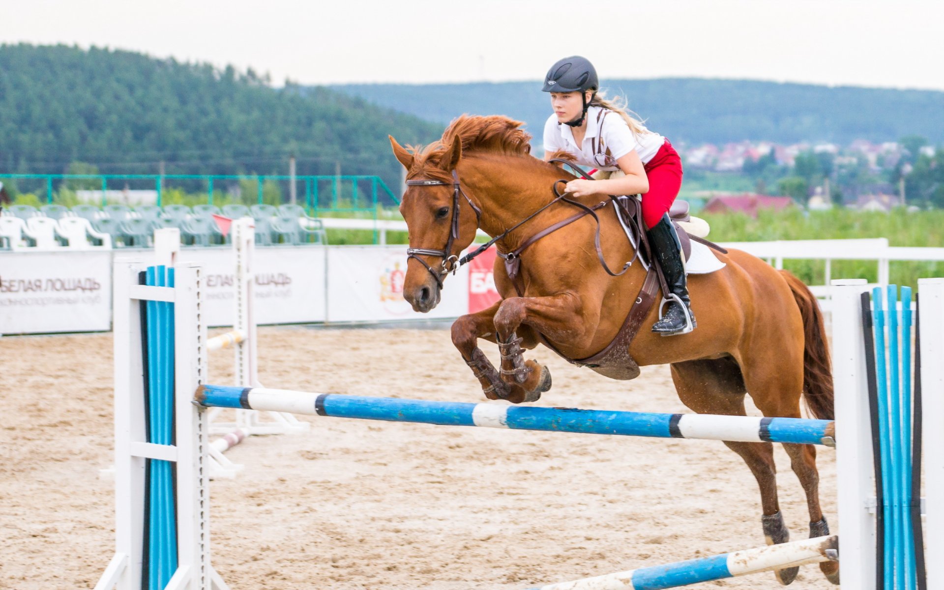 mädchen pferd sport