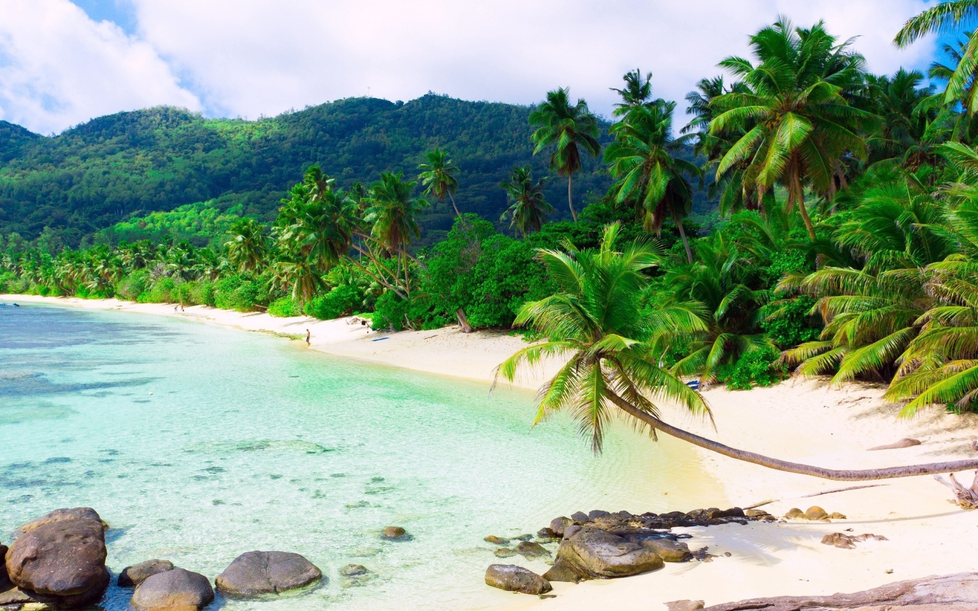 rocce spiaggia palme costa tropici isola equatore moe