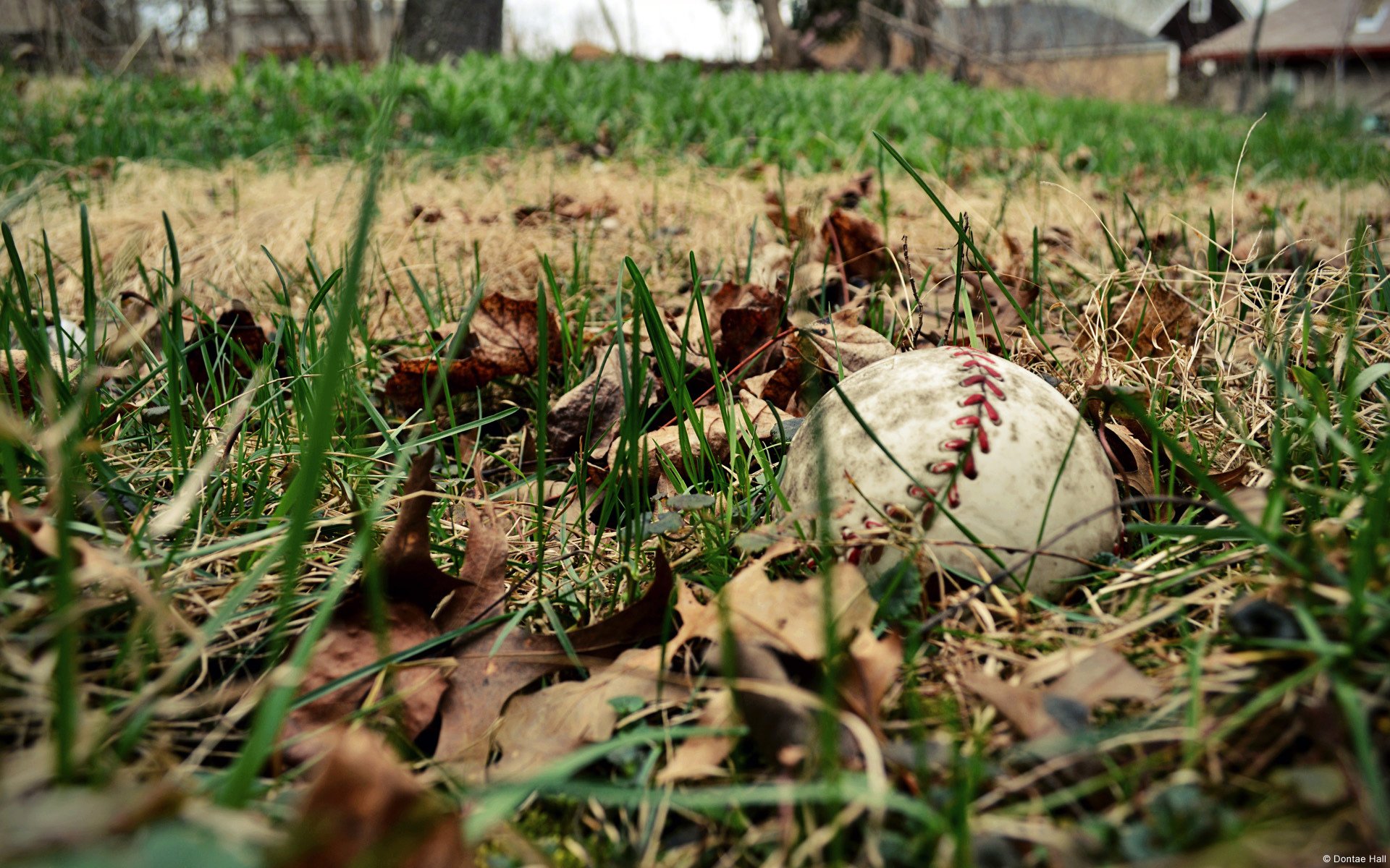 baseball sport boisko